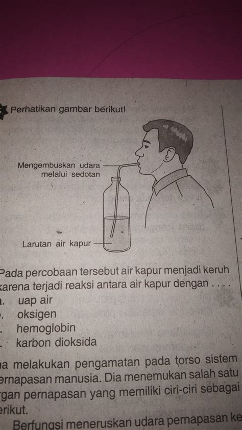 Larutan cairan dalam padatan contohnya saja adalah air dalam kayu, air dalam buah, dan lain. Pada percobaan tersebut air kapur menjadi keruh karena ...