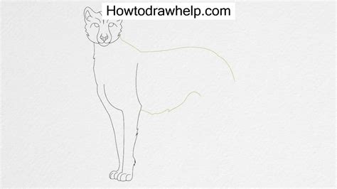Check spelling or type a new query. How to draw a CHEETAH step by step for kids - YouTube