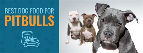 The totw, the wellness core, and the blue wilderness. 5 Best Dog Food For Pitbulls in 2020 - Animalso