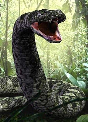 There are 3,600 species of snake. Oubliette Magazine: Titanoboa Stats