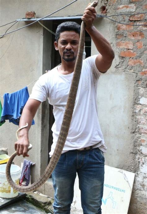 Takes into account daylight saving time (dst). MYLAPORE TIMES » This auto driver traps snakes