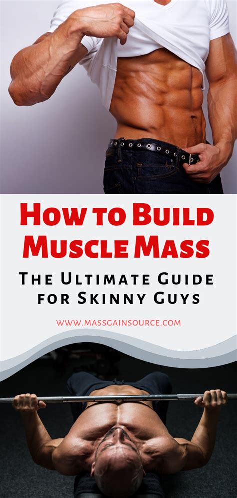 How do plants take water to all its parts chitti. How to Build Muscle Mass: The Ultimate Guide for Skinny ...