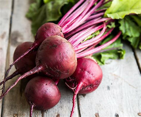 Data kandungan gizi buah bit (ubi bit merah) atau beetroot dikutip dari self nutrition data. Khasiat Ubi Bit Merah & Cara-Cara Hasilkan Jus Sedap Serta ...