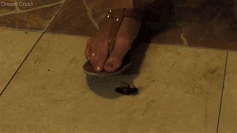 Watching my mother trample that snail had really inspired me. Her Brown Sandals - Dream Crush