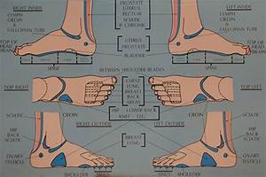 Foot Reflex Points Foot Reflexology Gold Coast Holistic Health