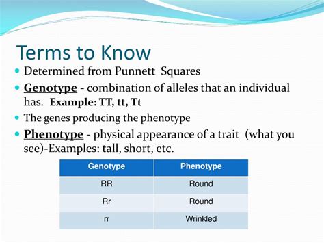 Reginald crundall punnett, a mathematician, came up with these in 1905, long after mendel's experiments. PPT - Genetics, Heredity, Mendel and Punnett Squares PowerPoint Presentation - ID:4650261