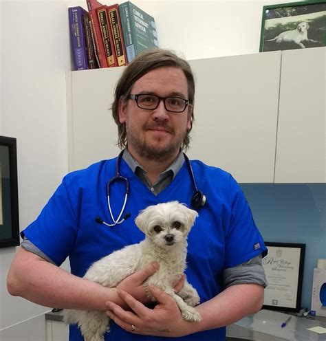 Perhaps one of the biggest questions pet owners searching best emergency vet near me can bring up a lot of pages on how to know if your pet is showing. 24 Hour Vets Birmingham. Emergency / 24 Hour Vet Clinics ...