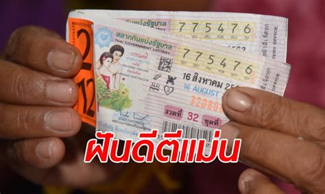 เลขท้าย 3 ตัว 051 806. ฝันว่า "เก็บเห็ด" ให้โชคใหญ่ ยายดวงเฮงถูกรางวัลที่ 1 รวย ...