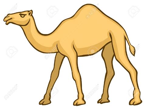 We hope you're going to follow along with us. Camel Pictures - Kids Search