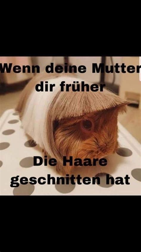Wie oft soll man die haare schneiden? Pin von Bettina Schulz auf lustig | Haare schneiden, Trendfrisuren, Mittelscheitel