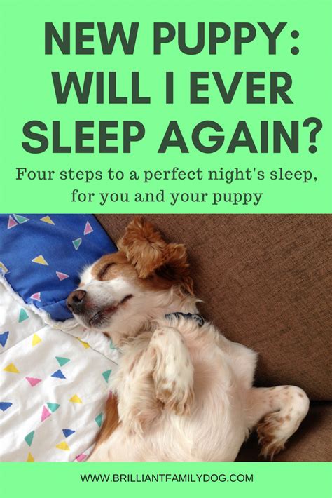 Tips for helping your puppy sleep at night. Teach your puppy to sleep through the night from the get ...