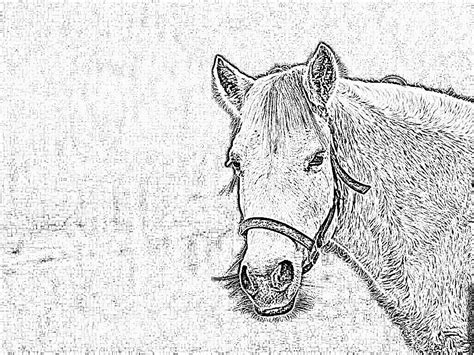 Pat patrouille à imprimer coloriage gratuit de la pat patrouille ou encore les animaux coloriage gratuit à imprimer et à colorier il fait partie de la série animée…. Cheval Dessin Couleur - PrimaNYC.com