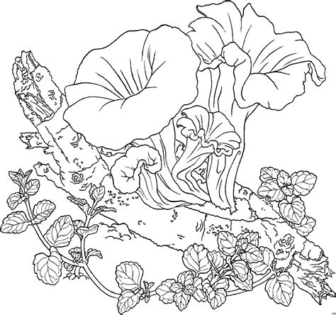 Auch erwachsene malen bilder aus. Pin von Eva Gubik auf Malbilder/Ausmalbilder | Malvorlagen blumen, Malvorlagen, Ausmalbilder