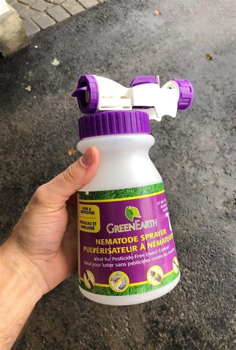 Pest control treatment and an increase in activity. Quick Fixes For the 11 Most Common Lawn Problems - DIY ...