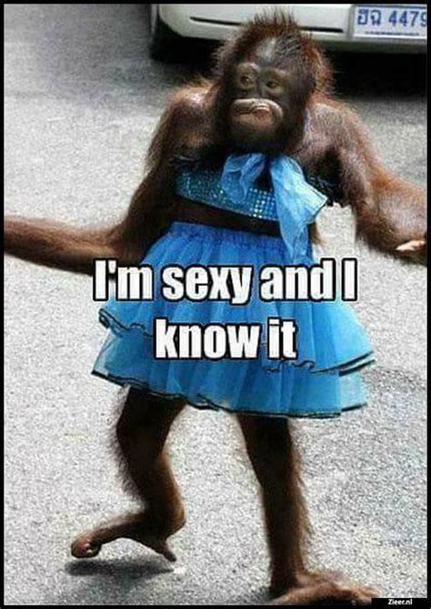 List rulesvote up any funny joke about monkeys. Pin by Mary Oracle on need a laugh in 2020 | Fun quotes ...