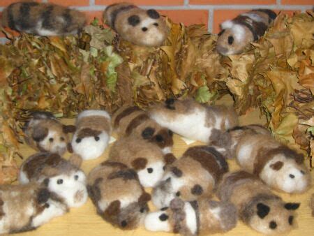 Maybe you would like to learn more about one of these? Meerschweinchen Bilder Zum Ausmalen