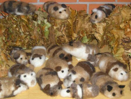 Ausmalbilder meerschweinchen malvorlagen kostenlos zum ausdrucken. Meerschweinchen Bilder Zum Ausmalen