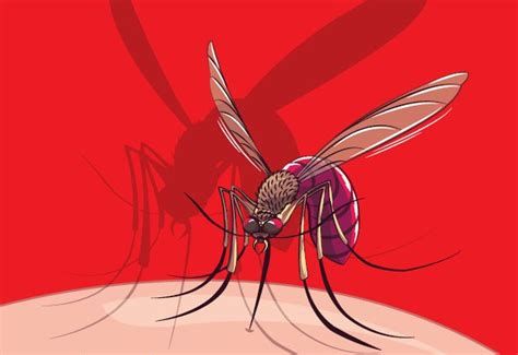 Malaria causes symptoms that typically include fever, tiredness, vomiting, and headaches. Malaria throws big challenge to public health system in ...