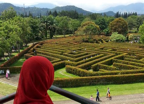 Bunga begonia ini akan hidup dengan subur pada tempat yang mendapatkan sinar matahari cukup setidaknya 2 jam dalam 1 hari dan iklim indonesia yang tropis ini sangat cocok sebagai tempat tumbuh tanaman ini. Menikmati Indahnya Warna Warni Bunga di Taman Bunga ...