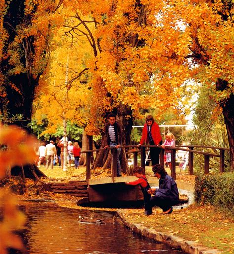 Autumn at oeps 6 6 images in this album. Orange NSW: Duck Pond in autumn (from postcard) | Duck ...