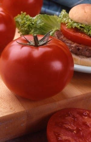 Beefsteak tomatoes are the largest variety of cultivated tomatoes. Tomato Big Beef hybrid | All-America Selections