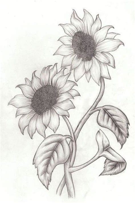 Free drawings of flowers in black and white download free. Pin on AAAAMAZING DESIGNS