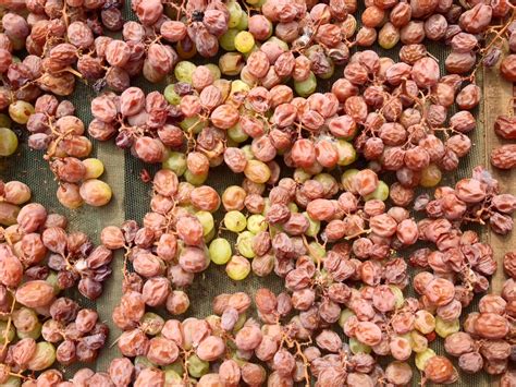 Check spelling or type a new query. Uva da tavola: le 17 varietà da riconoscere | Dissapore