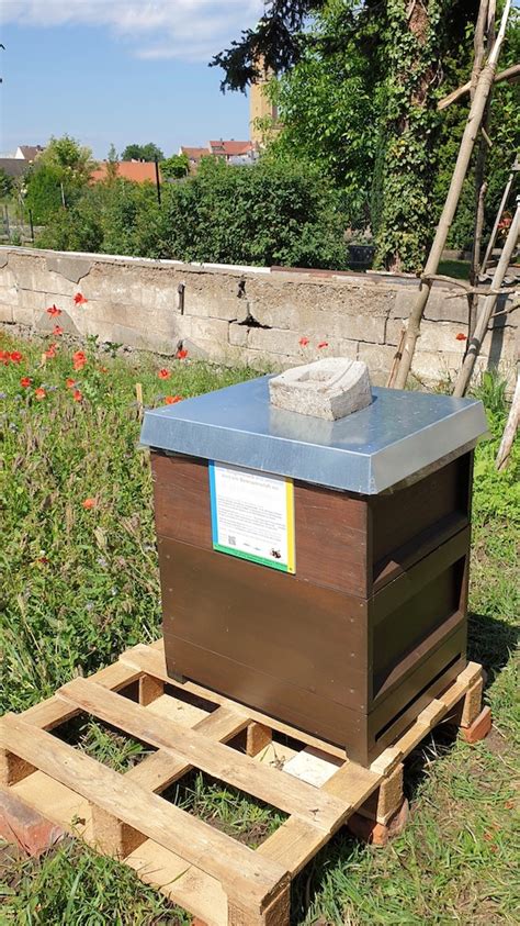 Wenn du aus dem umliegenden stegaurach unseren baumarkt besuchen willst, dann fahre über die b22. 110535-Neuer-Bienenstandort-Welterbe-Garten | bienen-leben ...