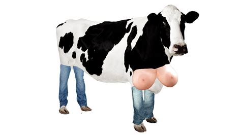 What are the signs of release of milk? Petition · FSA - Food Standards Agency: Stop the Genetic ...