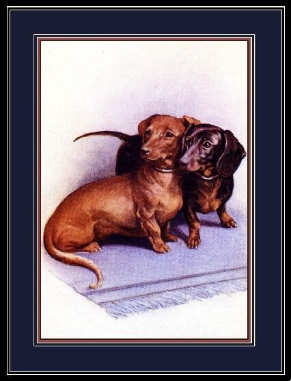 As puppies, doxies are eager for affection. English Print Dachshund Duo Dog Puppy Dogs Puppies Art ...