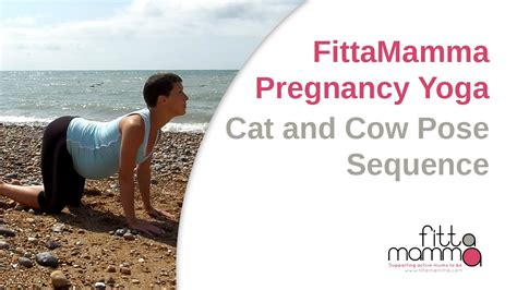 The cat pose (marjaryasana) in yoga stretches and strengthens your spine to help improve your posture and balance. FittaMamma Pregnancy Yoga: Cat and Cow Pose Sequence - YouTube
