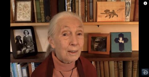 The story of one remarkable woman who became a global icon in animal welfare and conservation who not only hoped for a better world, she achieved it! VIDEO: Dr. Jane Goodall Congratulates Disney Conservation ...