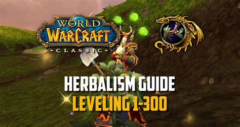 This is a guide summarizing how each ability should be used, how the rotation is structured and how to go about evaluating gear sets. The alchemist code leveling guide