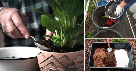 Likewise, people ask, can i use bagged garden soil in pots? Homemade Potting Soil Recipes To Grow Everything In ...