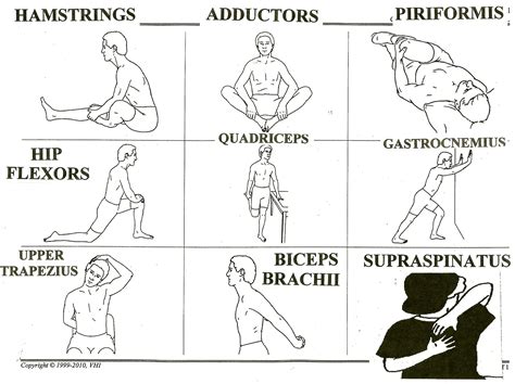 And once you understand those rules, you can pretty much tell where any muscle is. Boccini, Bridget / 5th Grade Muscle of the Month Fun Facts