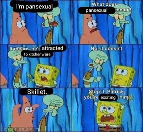 The best pansexual memes and images of january 2021. terrific wooden Lemur