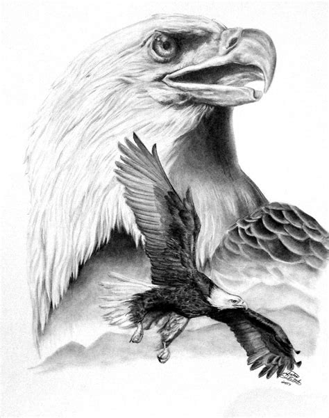 Check spelling or type a new query. Eagle Sketch Drawing at PaintingValley.com | Explore ...