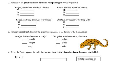 The recessive condition results in an orange face. Genetics Practice Problems (simple).pdf - Google Drive