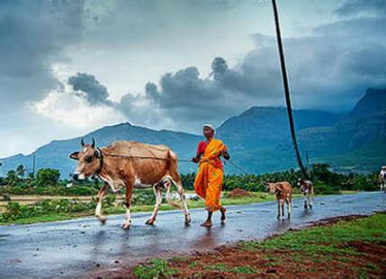 We did not find results for: What is the difference between Rain, Drizzle and Showers ...