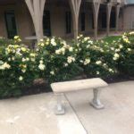 Lisa Ruff Counseling - Counseling for Children, Teens, and ...