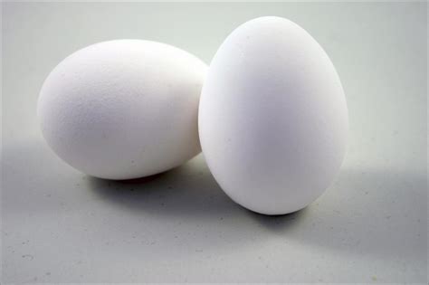 If you're looking for computers egg but don't know which one is the best, we recommend the first out of 10 computers egg in this article. Computer Science Problem on Egg Dropping: Two Eggs ...