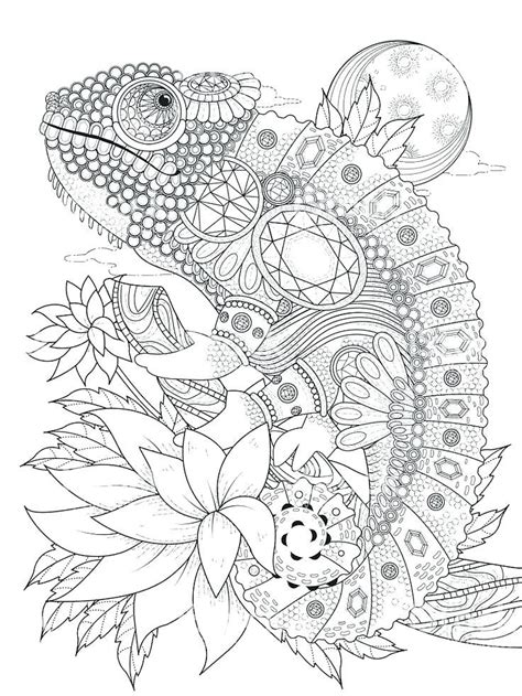 Animal mandala coloring pages are a great way to get your meditation on. Chameleon Coloring Pages | Coloring pages, Animal coloring ...