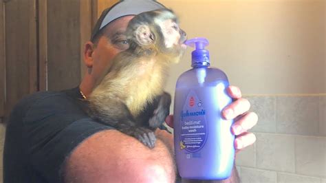 Because she doesn't have time (or money) to waste. Baby Monkey Gets a Bath LIVE & UNEDITED! - YouTube