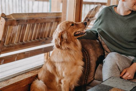 Dancing bear is a beautiful all wood cabin located in wears valley. Buffalo River Cabin Guide | Buffalo Outdoor Center - The ...