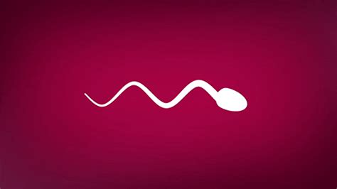 Brought to you by xxxbunker.com. Sex GIFs - Find & Share on GIPHY