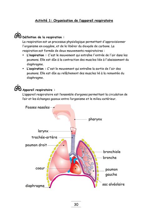 Devoirs de mathématique 2ème bac sciences de la vie et de la terre biof. La respiration chez l'Homme - Cours (MA) - AlloSchool