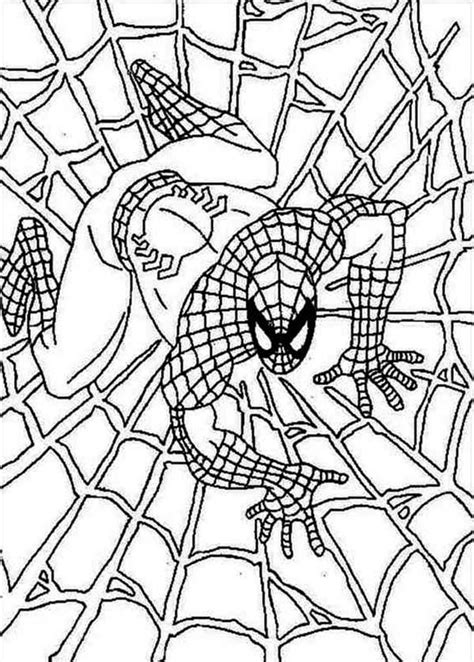 So he uses his special abilities and lots of spiders' web. Spiderman On Spider Webs Coloring Page : Coloring Sun ...