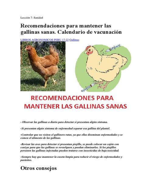 Regresa a la página anterior. Recomendaciones para mantener las gallinas sanas ...