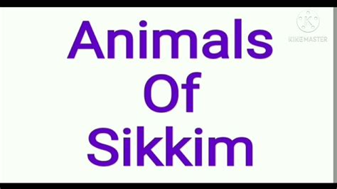 What's a baby ferret called? Sikkim Animals Name With Pictures : Most Famous Wildlife Sanctuaries National Parks In Sikkim Go ...