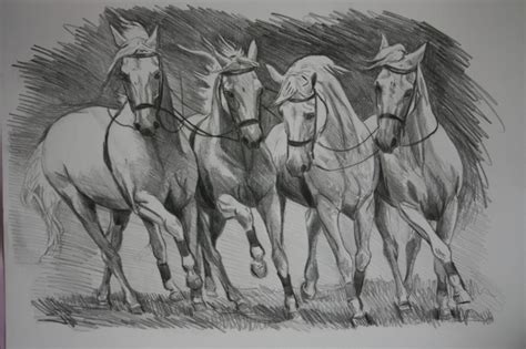 Bellissimi disegni a matita facilissimi. Disegno Leone A Matita - Disegni HD